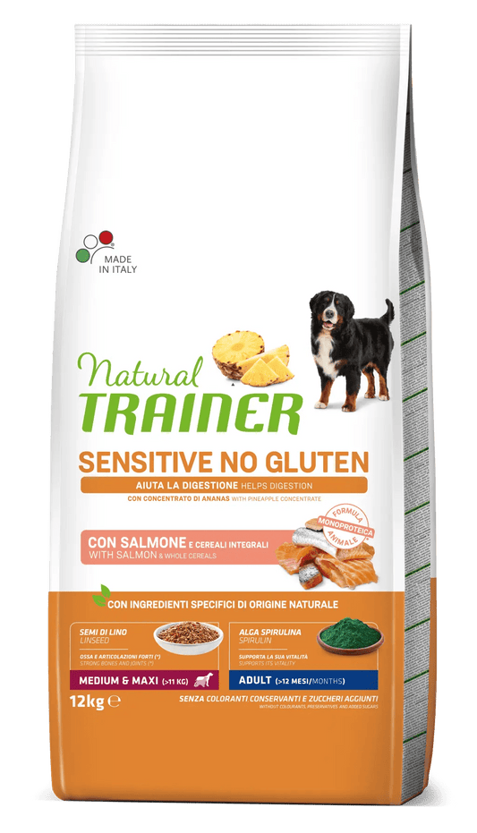 Salmone Medium & Maxi Adult per Cane